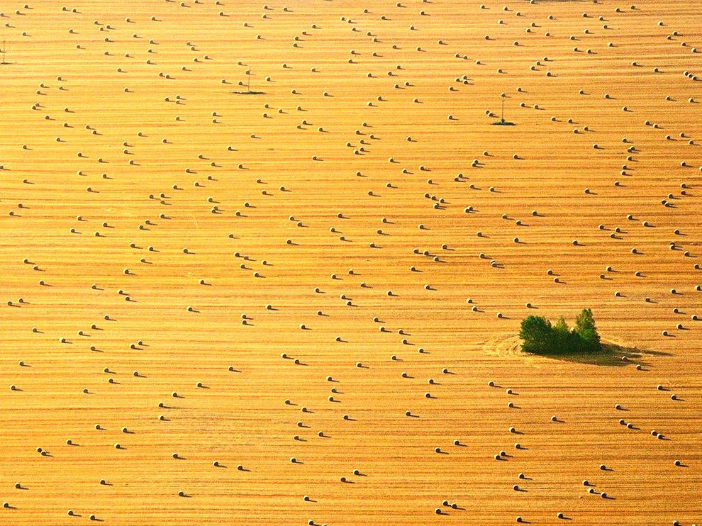 Hayfield in northern Poland